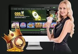 সেট ও সারফেস বোঝাতে bet 662 টেনিস তথ্যচিত্র
